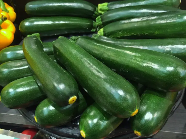 10 Tips To Increase Fruit Production On Zucchini