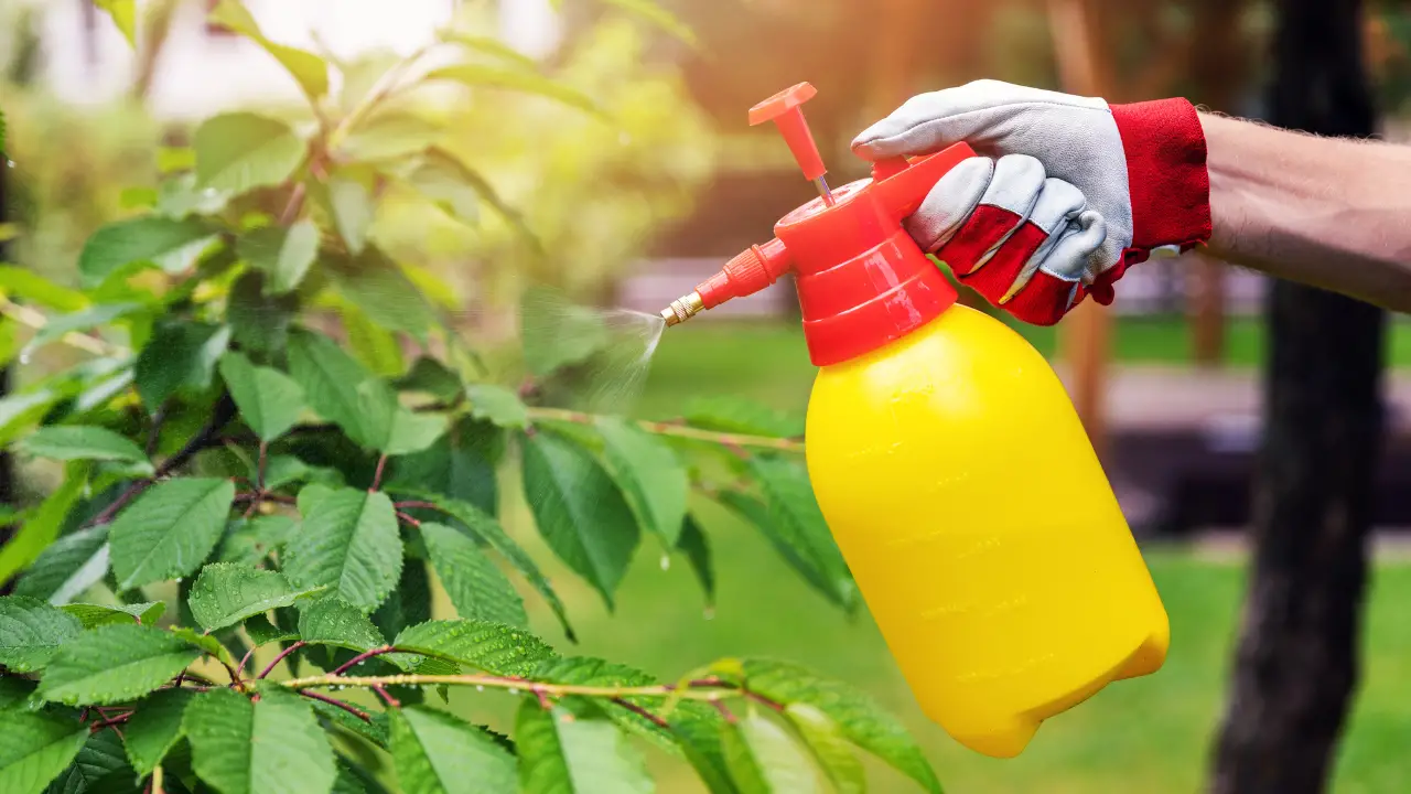 how to keep pests out of your garden